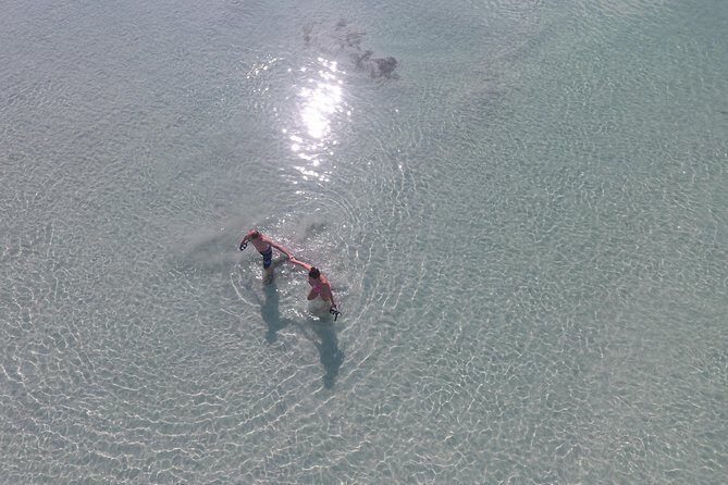 Key West Safari Eco Sandbar Tour Adventure with Snorkeling - Final Thoughts: Who Will Love This Tour?