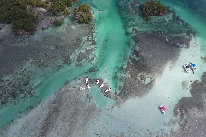 Key West Safari Eco Sandbar Tour Adventure with Snorkeling - Final Words