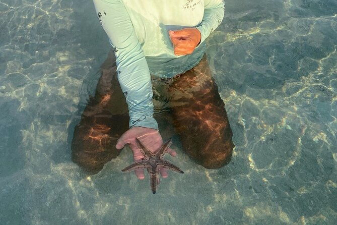 key-west-sandbar-eco-trip-ran-by-husband-and-wife-naturalist-team