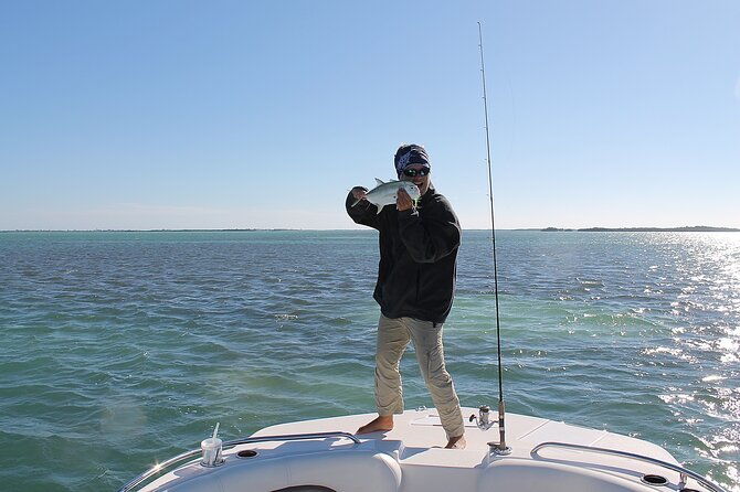 key-west-sandbar-eco-trip-ran-by-husband-and-wife-naturalist-team