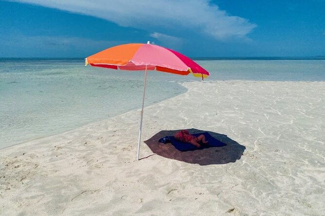 key-west-sandbar-eco-trip-ran-by-husband-and-wife-naturalist-team