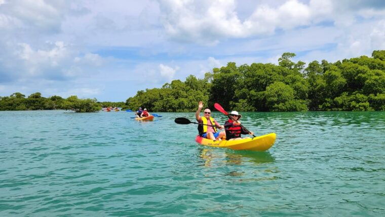 key-west-sandbar-excursion-kayak-tour-with-lunch-drinks