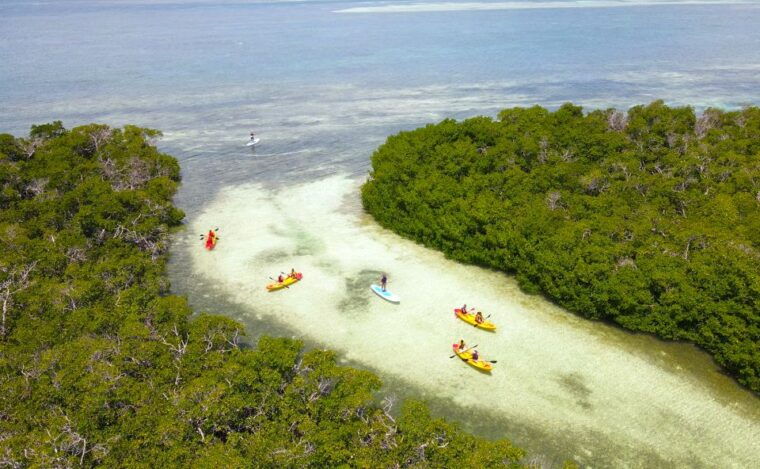 key-west-sandbar-excursion-kayak-tour-with-lunch-drinks