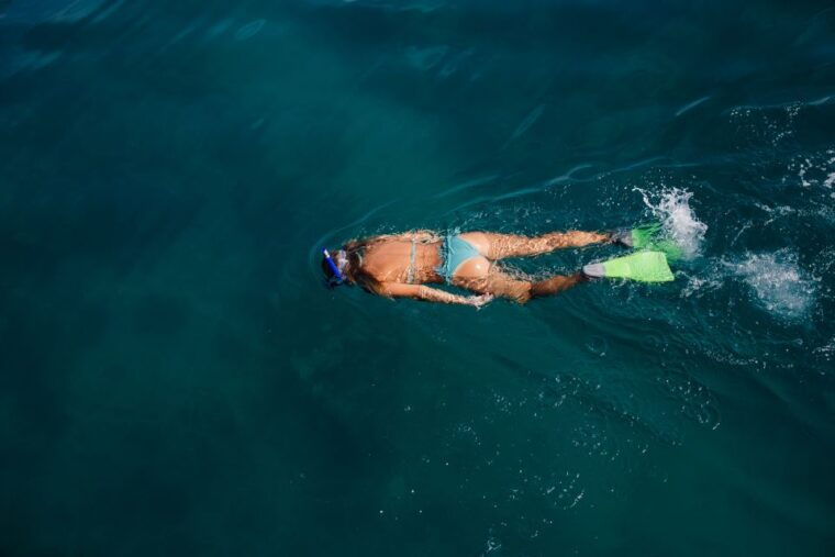 key-west-sunset-snorkel-cruise-with-draft-beer-wine