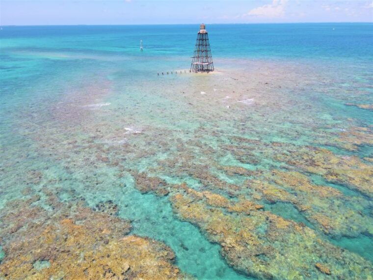 key-west-sunset-snorkel-cruise-with-draft-beer-wine