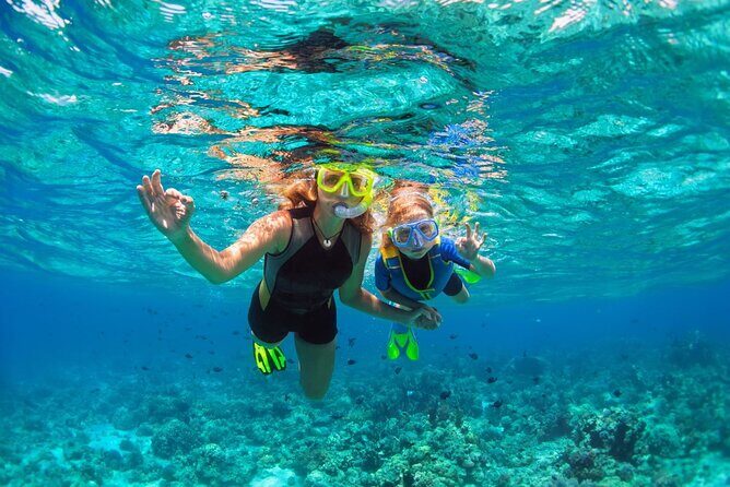 Key West Sunset Snorkel with Unlimited Draft Beer & Wine - What Reviewers Say: Highlights and Caveats