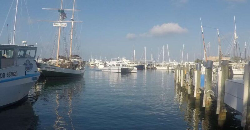 key-west-tour-and-coral-reef-snorkeling-with-open-bar