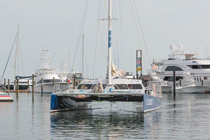 key-wests-favorite-afternoon-dolphin-sail-2
