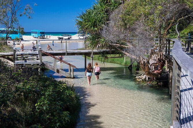 K'gari (Fraser Island) All Inclusive Day Tour - Authentic Highlights and Practical Insights