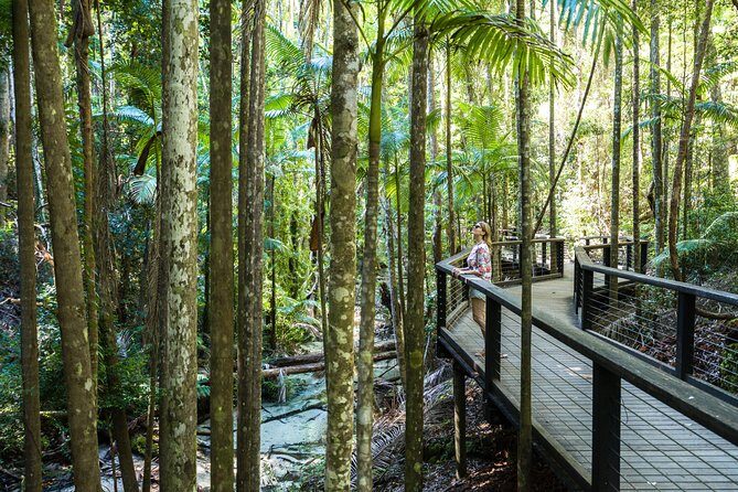 K'gari (Fraser Island) All Inclusive Day Tour - Who Will Love This Tour?  