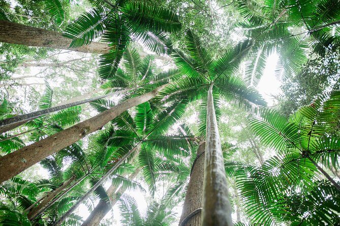 K'gari (Fraser Island) Explorer 2-Day Tour - The Itinerary Breakdown: What to Expect  
