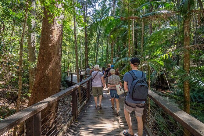 K'gari (Fraser Island) Small Group 4WD Adventure - From Noosa - Key Points