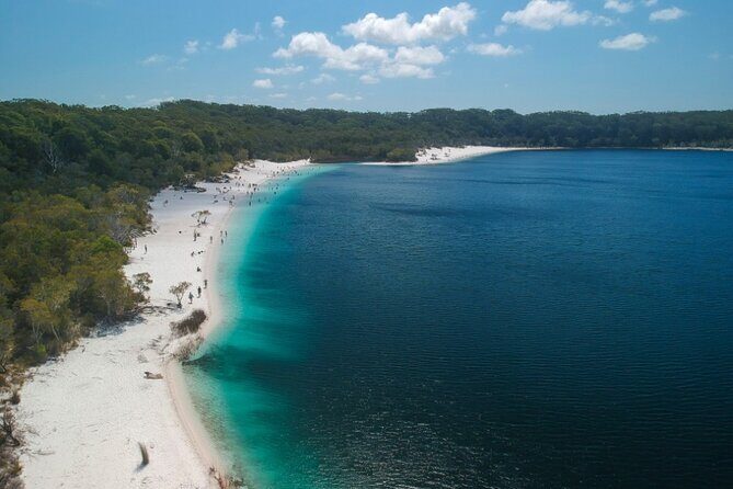 K'gari (Fraser Island) Small Group 4WD Adventure - From Noosa - Eli Creek: Float Your Worries Away