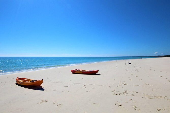 K'gari (Fraser Island) West Coast Half Day Cruise from Hervey Bay - Final Thoughts