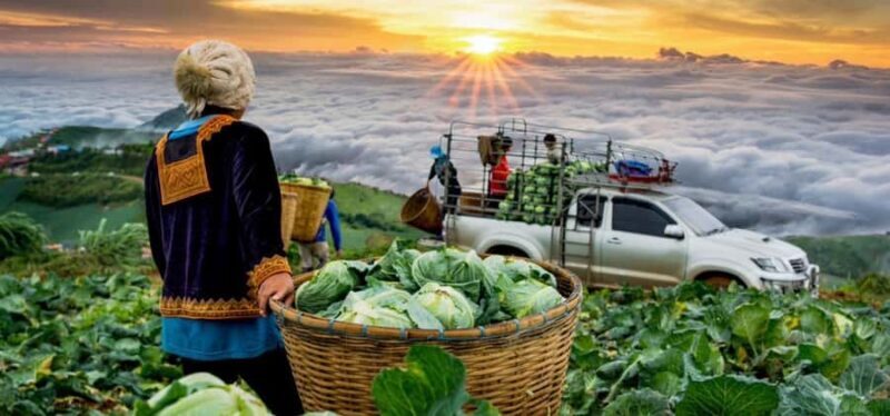 Khao Kho Private Tour from Bangkok | Thailand - Key Points