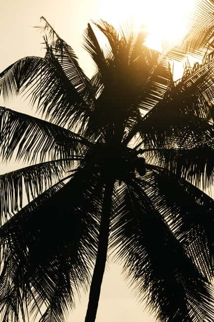 Khao Lak: 1.5-Hour Small Group Surfing Experience - Final Thoughts