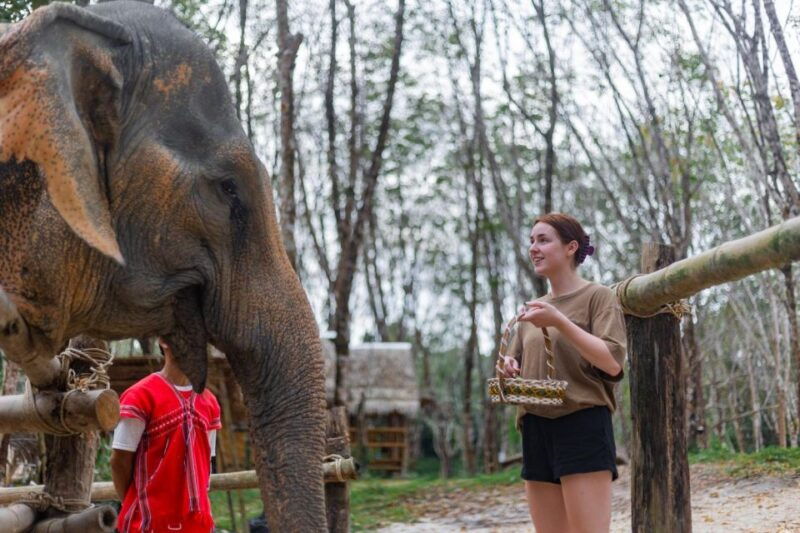 khao-lak-1-hour-elephant-sanctuary-eco-journey-with-shuttle