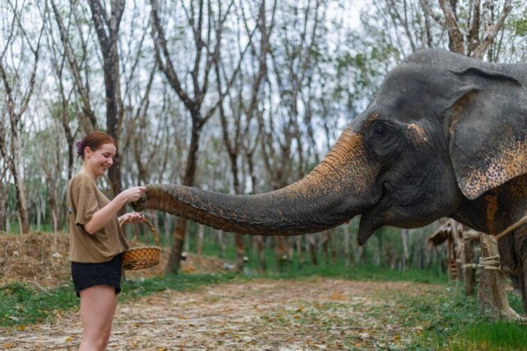 khao-lak-1-hour-elephant-sanctuary-eco-journey-with-shuttle
