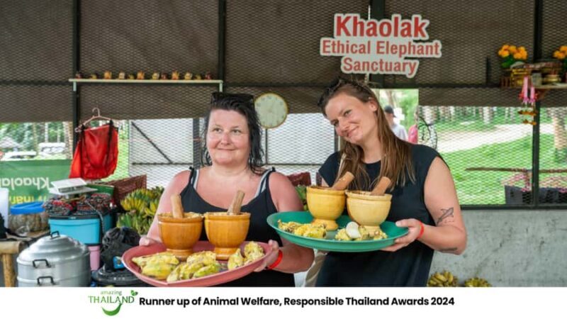 Khao Lak: 2-Hour Elephant Sanctuary Eco-Walk with Guided - The Basics of the Tour: What to Expect from Start to Finish