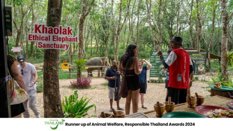 Khao Lak: 2-Hour Elephant Sanctuary Eco-Walk with Guided - The Real Value of the Tour