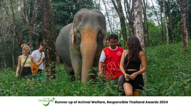 Khao Lak: All-Day Elephant Sanctuary Experience Small Groups - The Experience in Detail