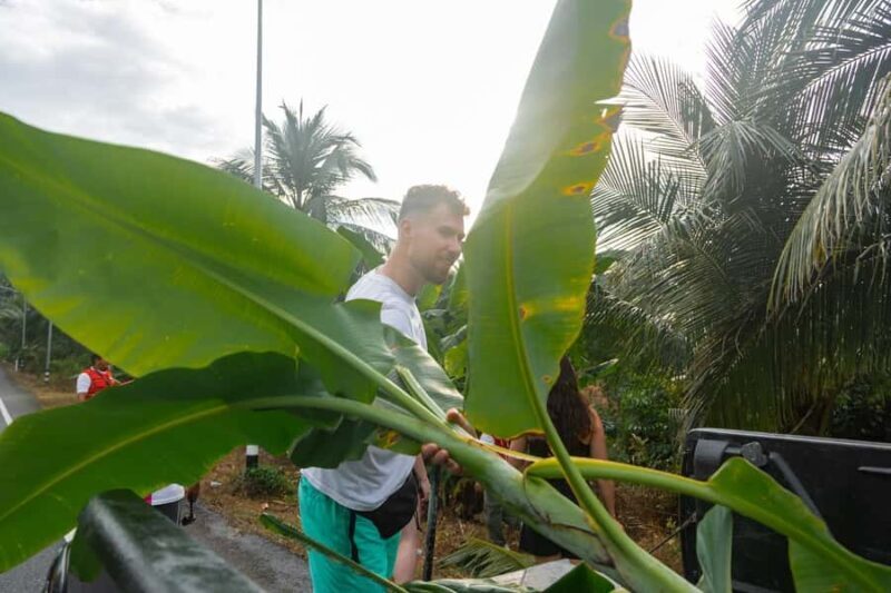 Khao Lak: All-Day Elephant Sanctuary Experience Small Groups - Final Thoughts