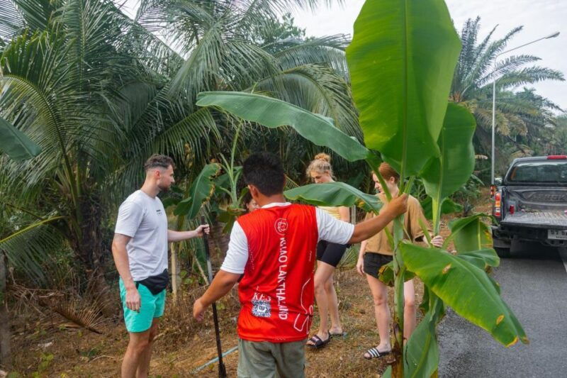 khao-lak-all-day-elephant-sanctuary-experience-small-groups