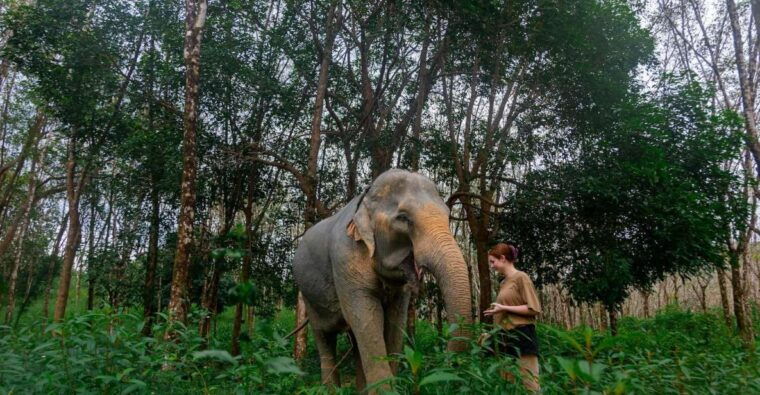 khao-lak-all-day-elephant-sanctuary-experience-small-groups