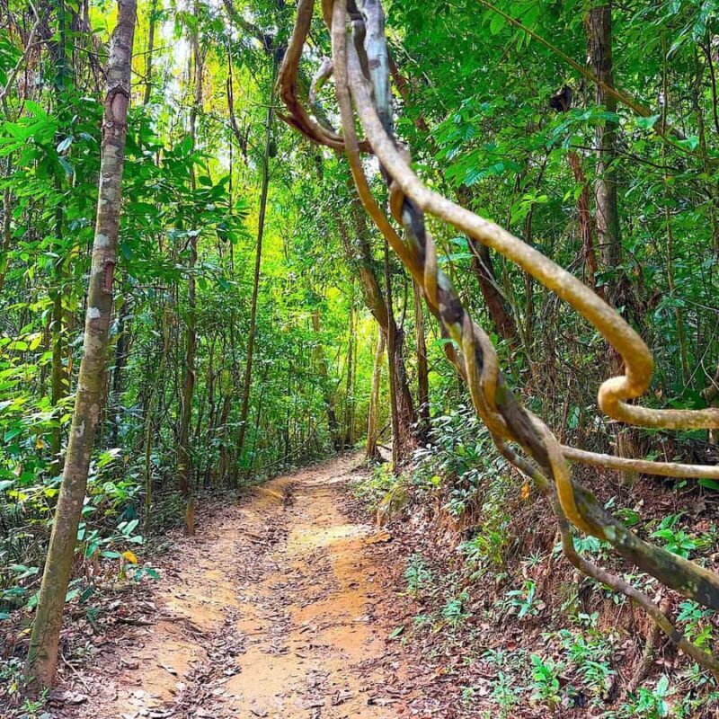 Khao lak: ATV Ride Adventure & Swim Small Sandy Beach - FAQ