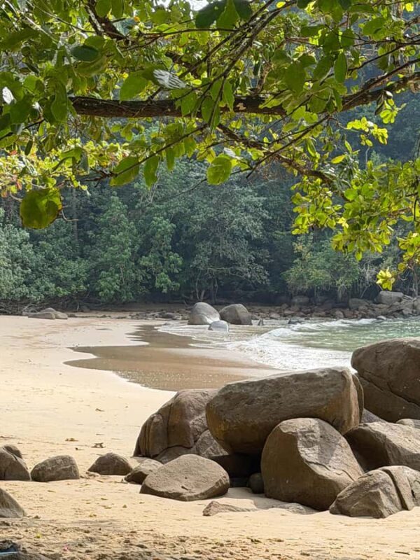 Khao Lak: Bamboo rafting,Lam Pi Waterfall, Small Sandy Beach - The Sum Up