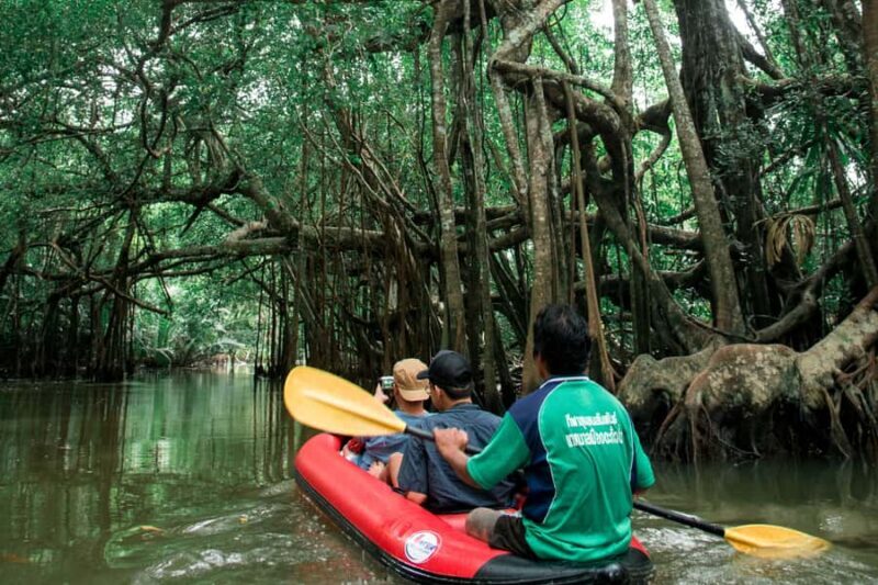 Khao Lak: Canoe Little Amazon & Trekking National Park - Key Points