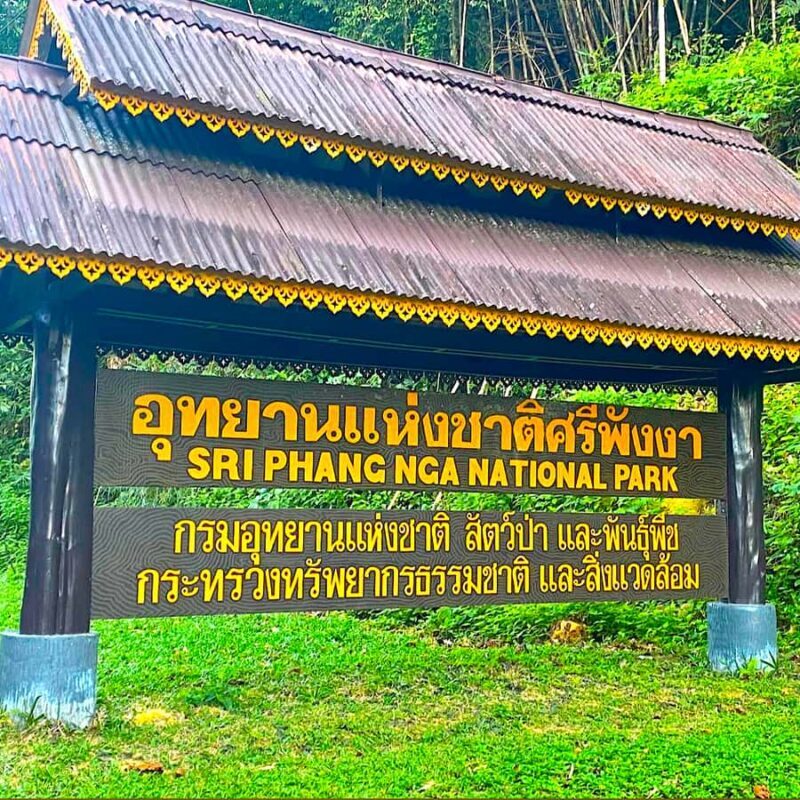 Khao Lak: Canoe Little Amazon & Trekking National Park - Final Thoughts