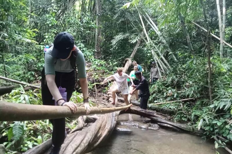 Khao Lak: Cheow Lan Lake, Diamond Cave, Hiking, All Included - FAQ