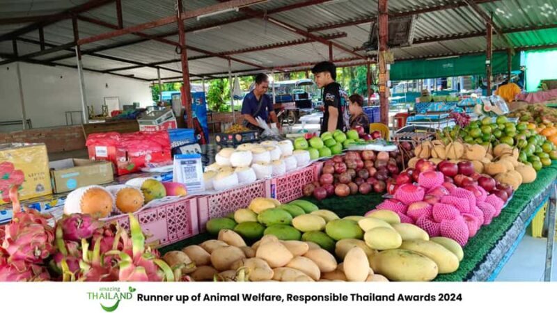 Khao Lak Cooking Class & ATV Adventure Tour Experience - An Overview of the Experience