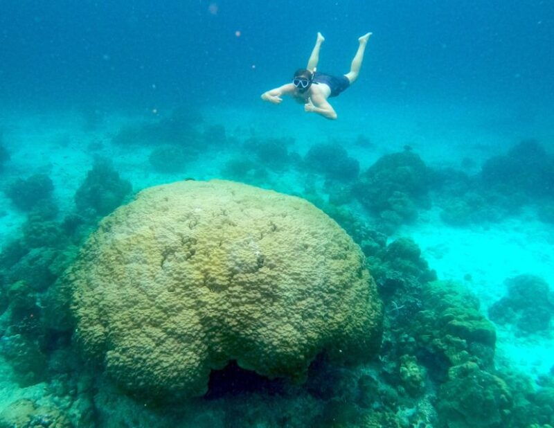 khao-lak-day-trip-to-phi-phi-with-private-longtail-tour