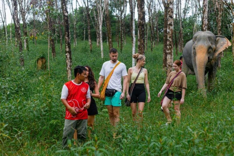 khao-lak-eco-safari-elephant-sanctuary-small-group-tour