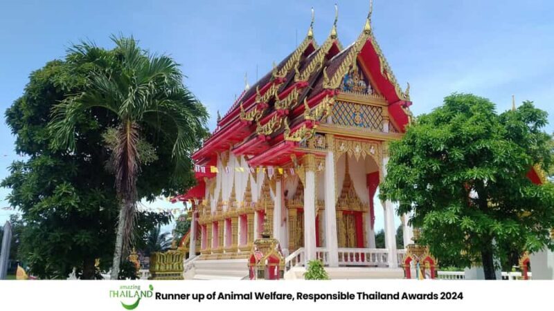 Khao Lak Eco-Safari: Elephants, Tsunami Museum, and Turtles - What Real Travelers Say