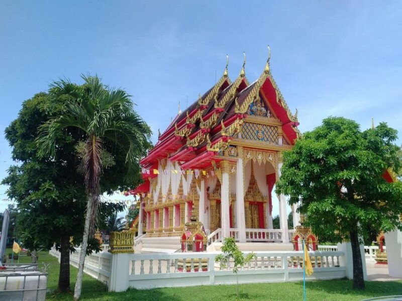 khao-lak-eco-safari-elephants-tsunami-museum-and-turtles