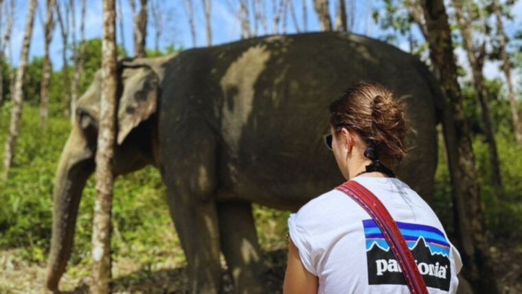 khao-lak-eco-safari-elephants-tsunami-museum-and-turtles