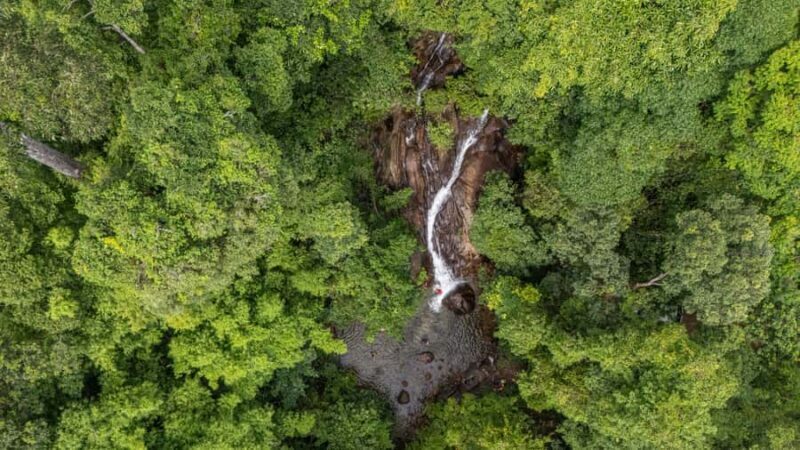 Khao Lak: Elephant Camp, Bamboo Rafting, and Waterfall Tour - Final Thoughts: Who Will Love This Tour?