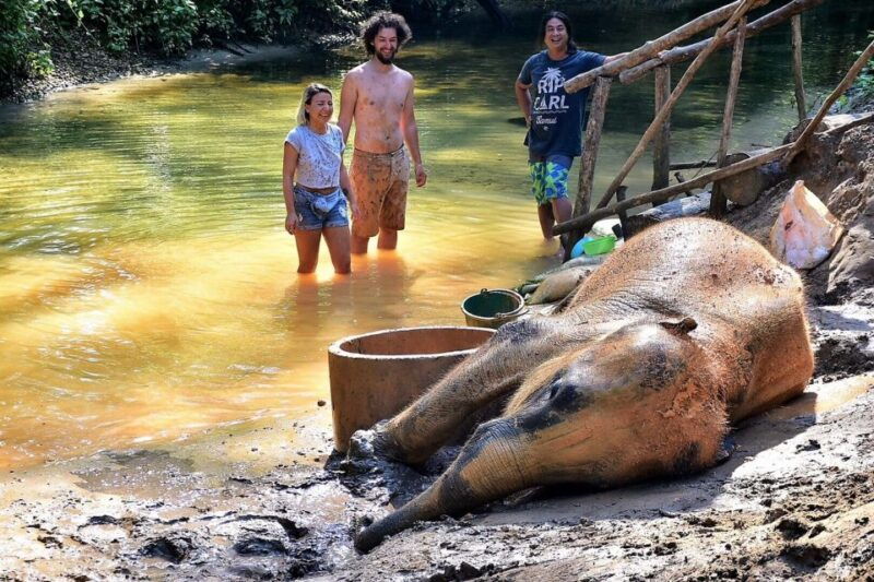 khao-lak-elephant-sanctuary-guided-tour