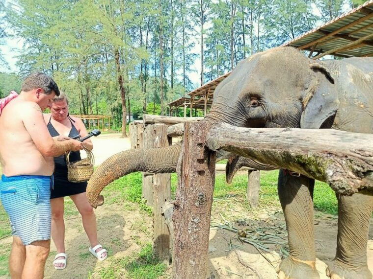 khao-lak-elephant-sanctuary-guided-tour