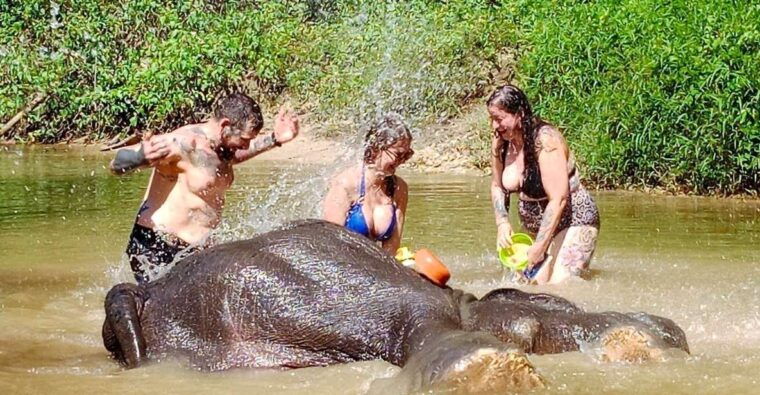 khao-lak-elephant-sanctuary-guided-tour