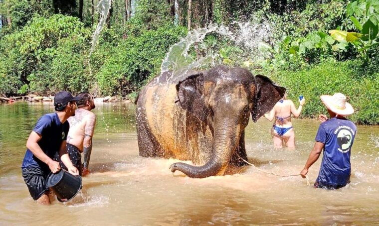khao-lak-elephant-sanctuary-guided-tour