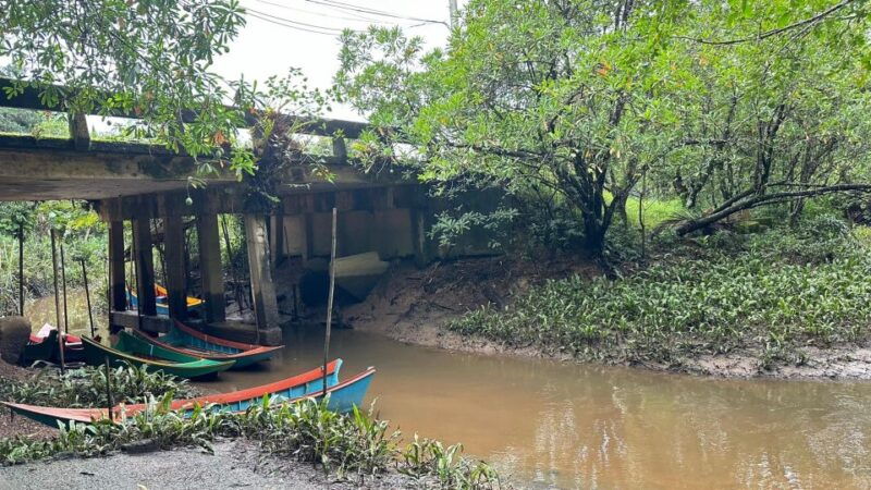 khao-lak-elephant-sanctuary-visit-and-mangrove-kayak-tour