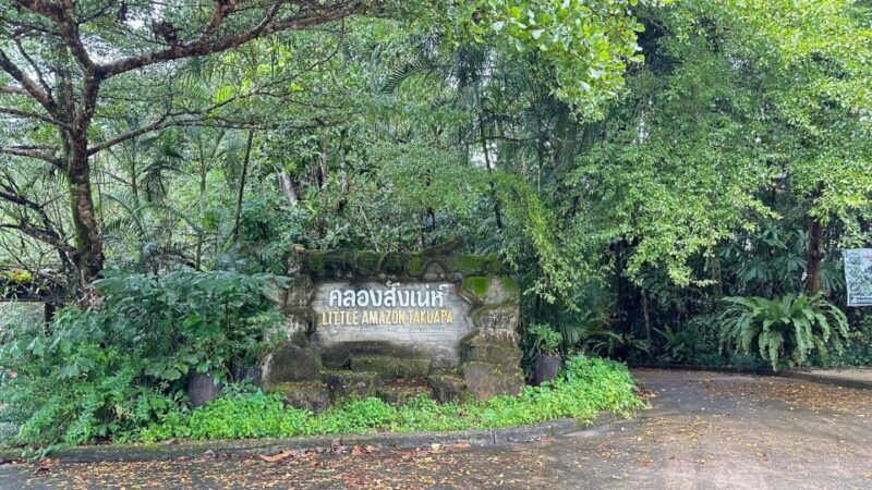 khao-lak-elephant-sanctuary-visit-and-mangrove-kayak-tour