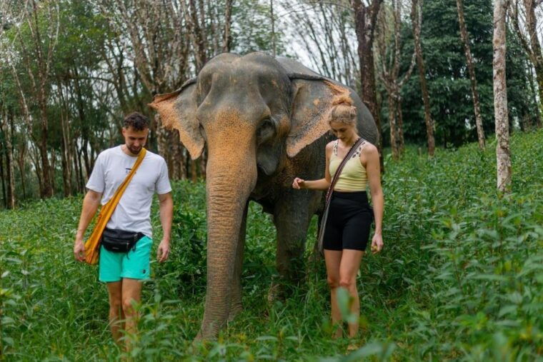 khao-lak-elephant-sanctuary-visit-and-mangrove-kayak-tour