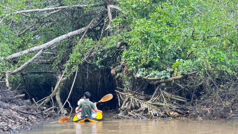 khao-lak-elephant-sanctuary-visit-and-mangrove-kayak-tour