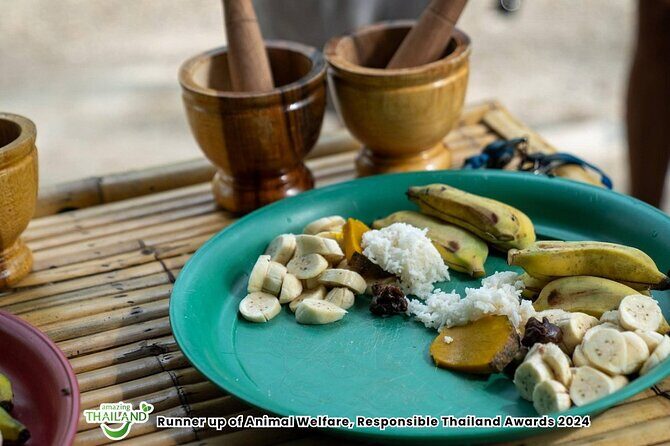 Khao Lak Ethical Elephant Sanctuary Conservation Experience - The Impact of Supporting Responsible Tourism