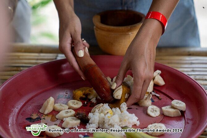 Khao Lak Ethical Elephant Sanctuary Conservation Experience - Practical Details: What You Need to Know